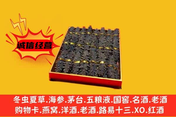 平房区回收海参